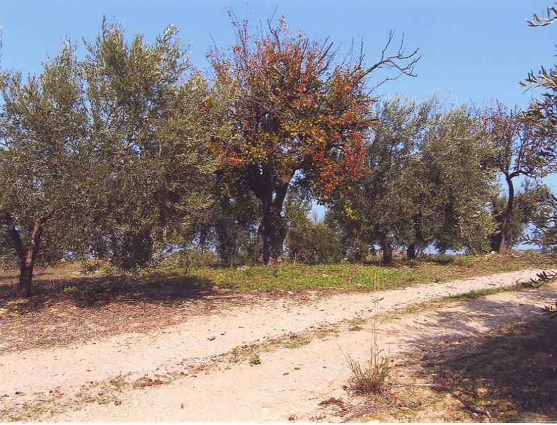 Outside10008.JPG