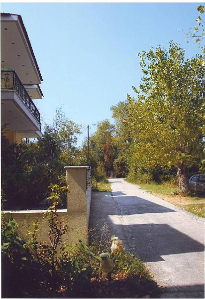 Outside7.JPG